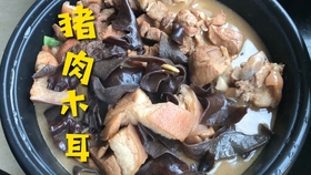 9de52600026c735e4a3a2c20ae00cc6cdd63ff7e.jpg@280w_158h_1c_100q.jpg