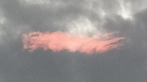 9de5b09fa07c037c9f073223355083cfde2662e1.jpg@480w_270h_1c