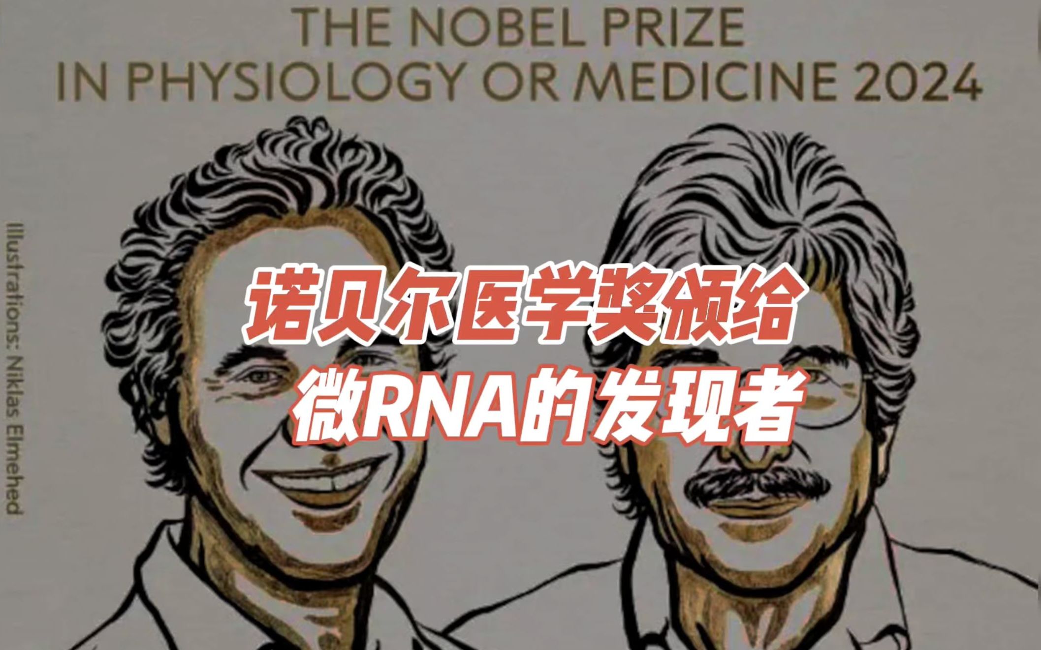 诺贝尔医学奖发布,微RNA的发现者获奖哔哩哔哩bilibili