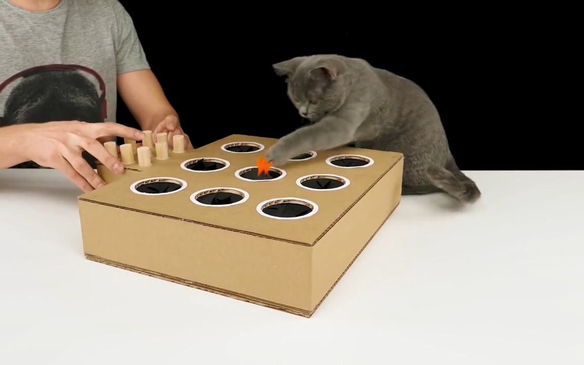 使用硬纸板制作打地鼠猫玩具