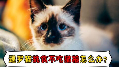 9e159e92c2b1c5e8322b8ffa9e8ef3b363cc2807.jpg@480w_270h_1c