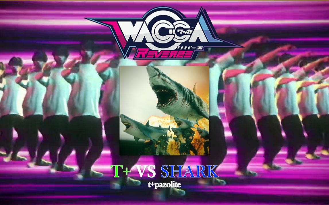 【WACCA自制】OMG It's A SHARK！🦈🦈 T+ VS SHARK Exp 13+ 谱面预览