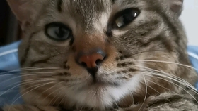 9e5c2e31091a93b837e1e25da1e89c70b4ddbb4e.jpg@280w_158h_1c_100q.jpg