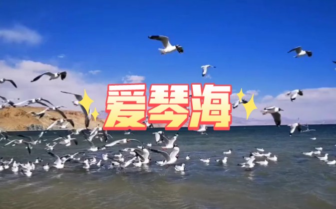 央金兰泽经典爱情歌曲《爱琴海,情深意切,旋律优美,值得回味.