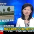 2011年5月29日，《新闻直播间》批郑州龙子湖大学城