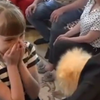 普京拜托顿涅茨克领导人送给小女孩一只博美犬