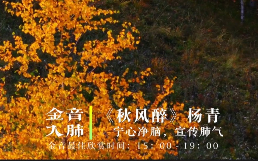 『五音疗疾』金音入肺，调畅气机，养元贮能，宁心净脑，用脑过度和呼烟者可多听用《秋风醉》