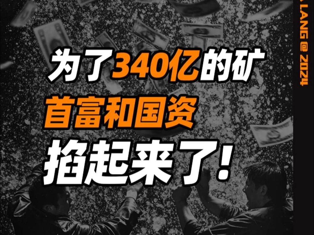 【完整版】为了340亿的矿，首富和国资掐起来了