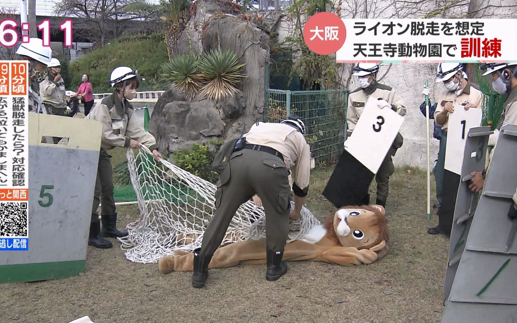 大阪天王寺動物園 ﾗｲｵﾝ脱走想定訓練