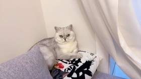 饭团小夫妻全集免费 9eb0187848966dc73d395d1aa7a0d74b3061159c.jpg@280w_158h_1c_100q.jpg