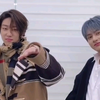 【SEVENTEEN】那些年你没看过的小17/短视频大赏