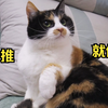 身娇体软易推倒，尤爱歪头杀