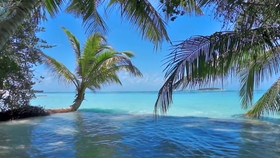 9ee08d5e4cdc9dc6d225fbae461f6d2f7e4b8255.jpg@280w_158h_1c_100q.jpg