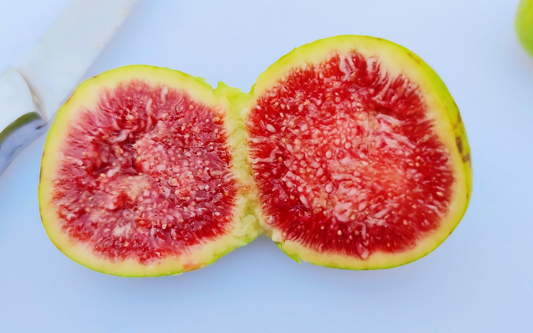 无花果哪个品种好？3分钟告诉你，很多人不知道