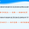 2.3 试管动物技术与体外受精