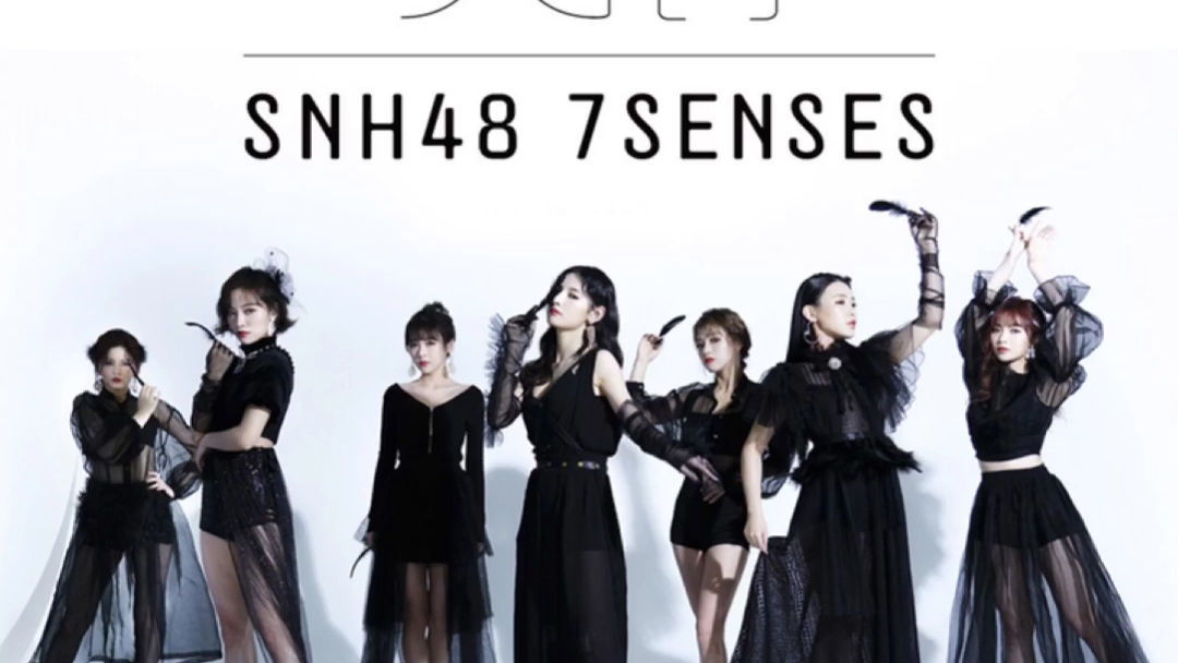 snh487senses天鹅swan韩文版