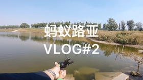 9f411d377ed49182ce7ce53464180cde43bc94d7.jpg@280w_158h_1c_100q.jpg