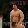韩国胖熊摔跤比赛，让我想到某些剧情