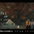 Memory Of Last Life《寂静之忆》-良言写意主题曲MV-演唱by希林娜依高