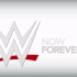 【开场动画系列】WWE历年开场动画(1982年—2019年)