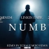 【高燃Remix】阿姆，Linkin Park & 2Pac 史诗级跨时空合作 Numb（2019）