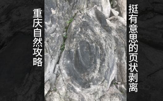 重庆自然攻略之挺有意思的页状剥离