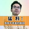猛料！揭秘狗狗交配不害羞的原因