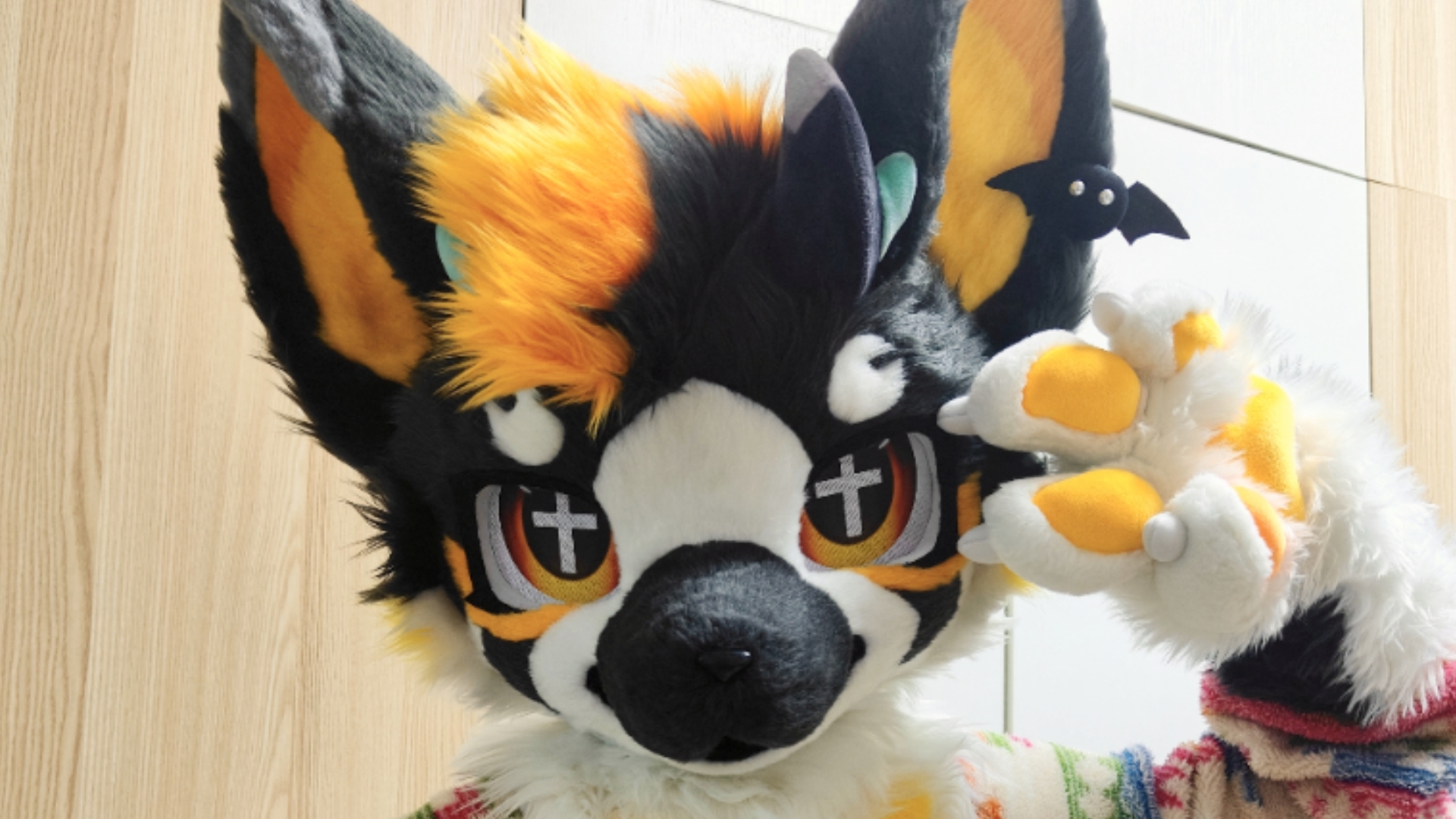 点击即可观看可爱的几维鸟小狗(* ^ ω ^* )