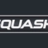 Squash- Hong Kong Open 2016 - Ashour v Lee - SF Highlights