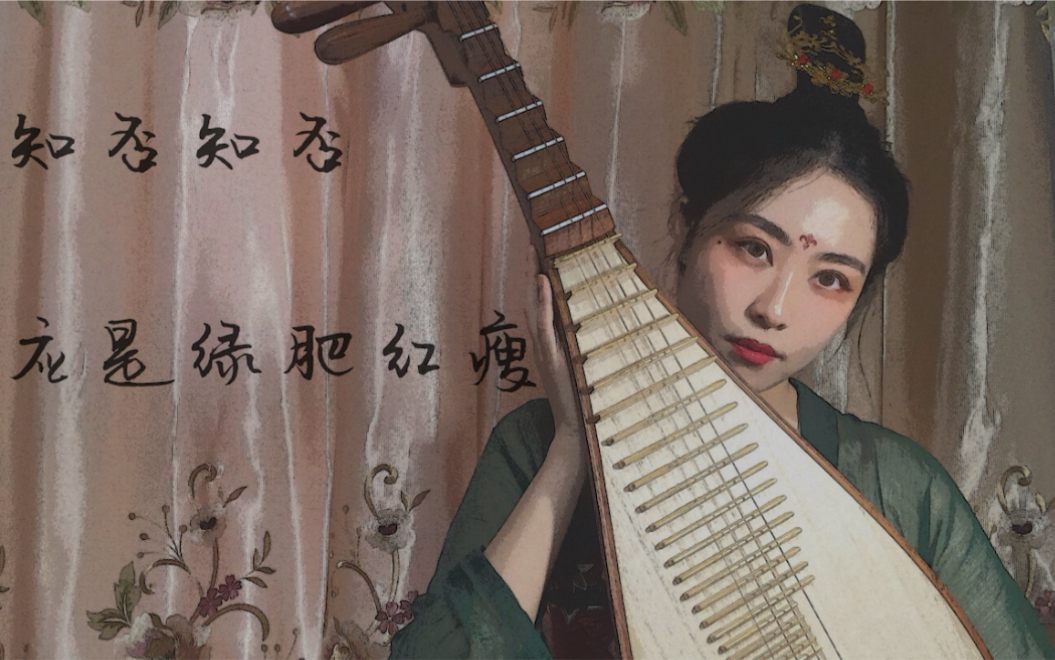 琵琶知否知否