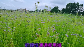 9fe3708d27576a632ea7bd3ede9e09661980fbdd.jpg@280w_158h_1c_100q.jpg