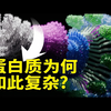 【中配】蛋白质如何演化出复杂结构？ - NanoRooms