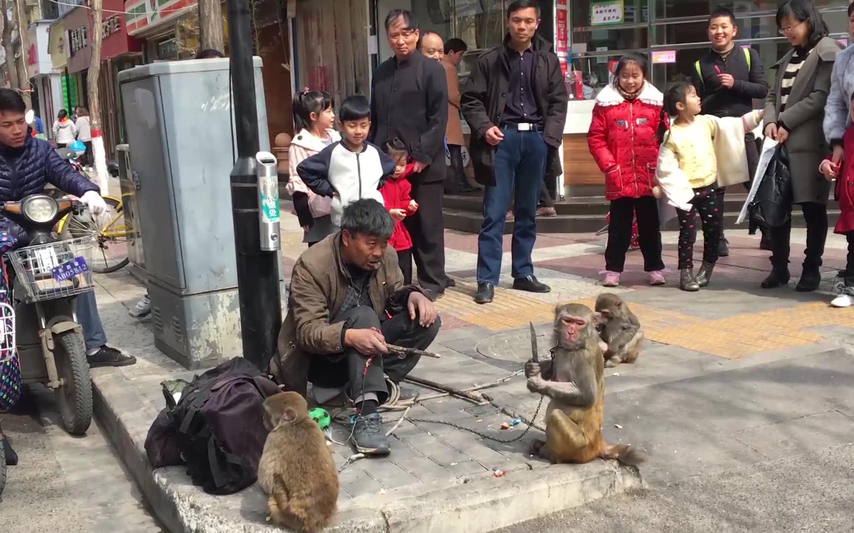 河南老师傅耍猴，猴子突然拿刀攻击，场面凶险吓坏老师傅