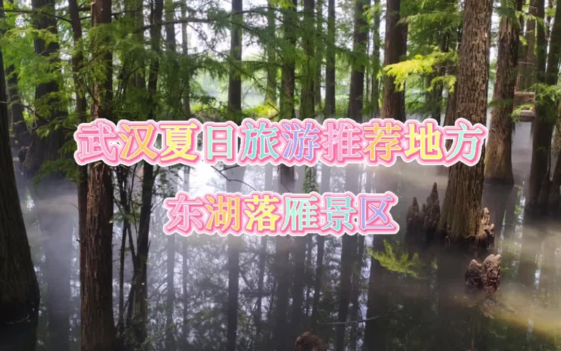 武汉夏日旅游推荐地方，东湖落雁景区