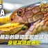 高清原声纪录片，精彩的眼镜王蛇吃蟒蛇，身临其境蛇吞蛇
