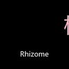 根状茎 Chinese Pronunciation Rhizome