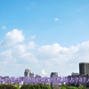 最美校园:闽南师范大学，福建省重点建设高校