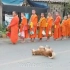 一些僧侣沿街祈祷，后面一只狗……看不懂