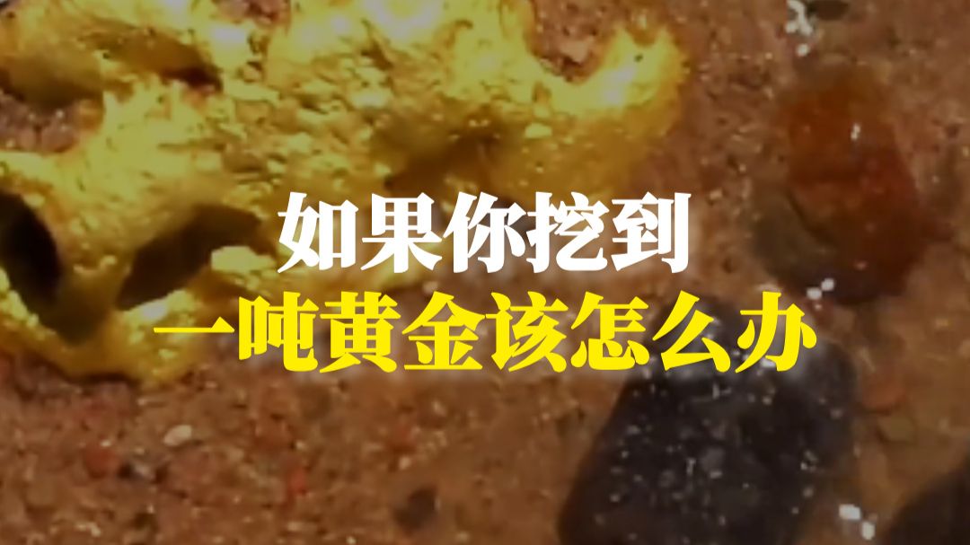 如果你在自家院子挖到一吨黄金，该怎么办