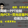 反向PCR动画 荧光定量PCR动画