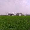 |松下GH5|农场踏春