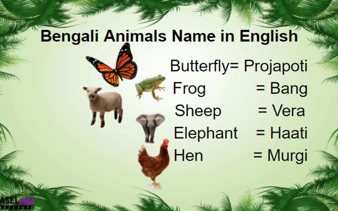 Learn Bengali Animals Name in English By RASELraju Institute-哔哩哔哩