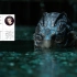 《水形物语》凭什么拿奥斯最佳影片？8分钟点评怪兽导演德尔·托罗的《水形物语》