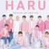 【Seventeen】2019年日本HARU演唱会 首首经典  吹爆小十七的live实力