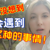大白天被摸屁股，吓得我差点打110~伊朗小姐姐惊吓vlog