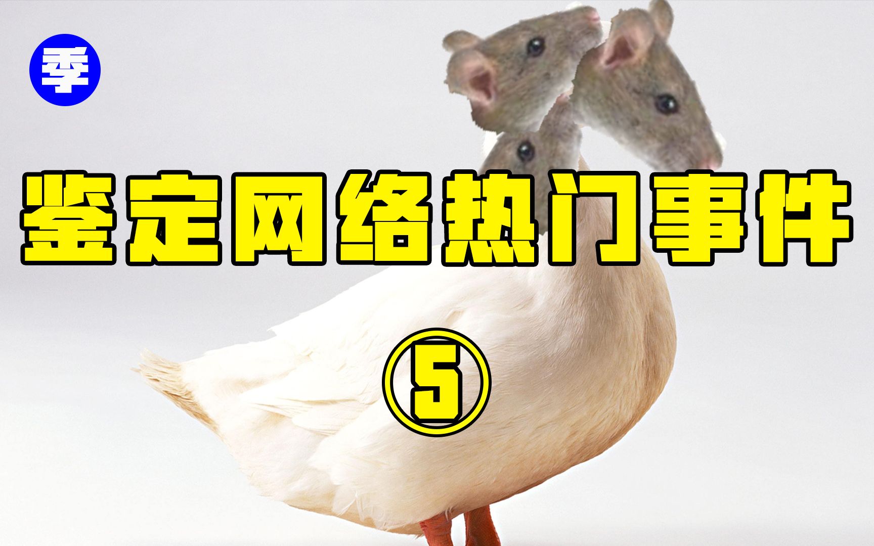 风声｜江西高校食堂吃出疑似鼠头事件：“指鼠为鸭”的全网群嘲，能否逼出真相？_凤凰网