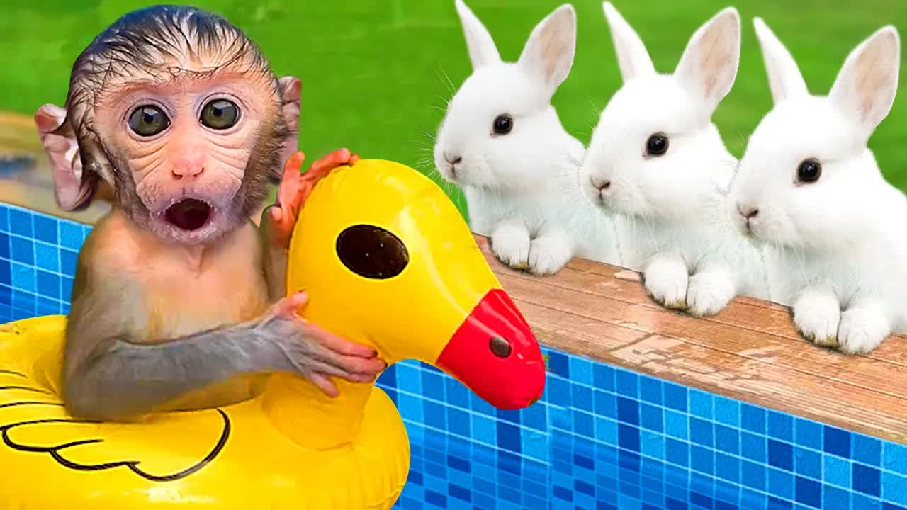 小狗狗、小丫丫和小猴猴都是好朋友，不过，谁游泳最厉害呢？