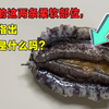 鲍鱼的这两条柔软的部位，你能指出到底是什么吗？懂的都是大神