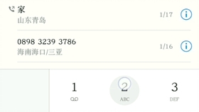 小米拨号键曲谱_小米11(4)