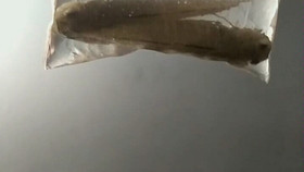 a0a8c36dd75010892c5d2b9be165f18c0e256904.jpg@280w_158h_1c_100q.jpg